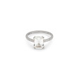 24KAE JEWELS JEWELRY Mod. 12409S/56