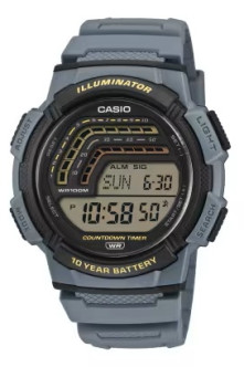 CASIO WATCH