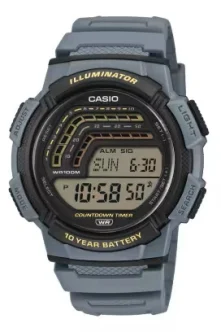 CASIO WATCH