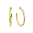 CO88 COLLECTION Mod. 8CE-70591