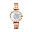 FOSSIL Mod. BQ3820