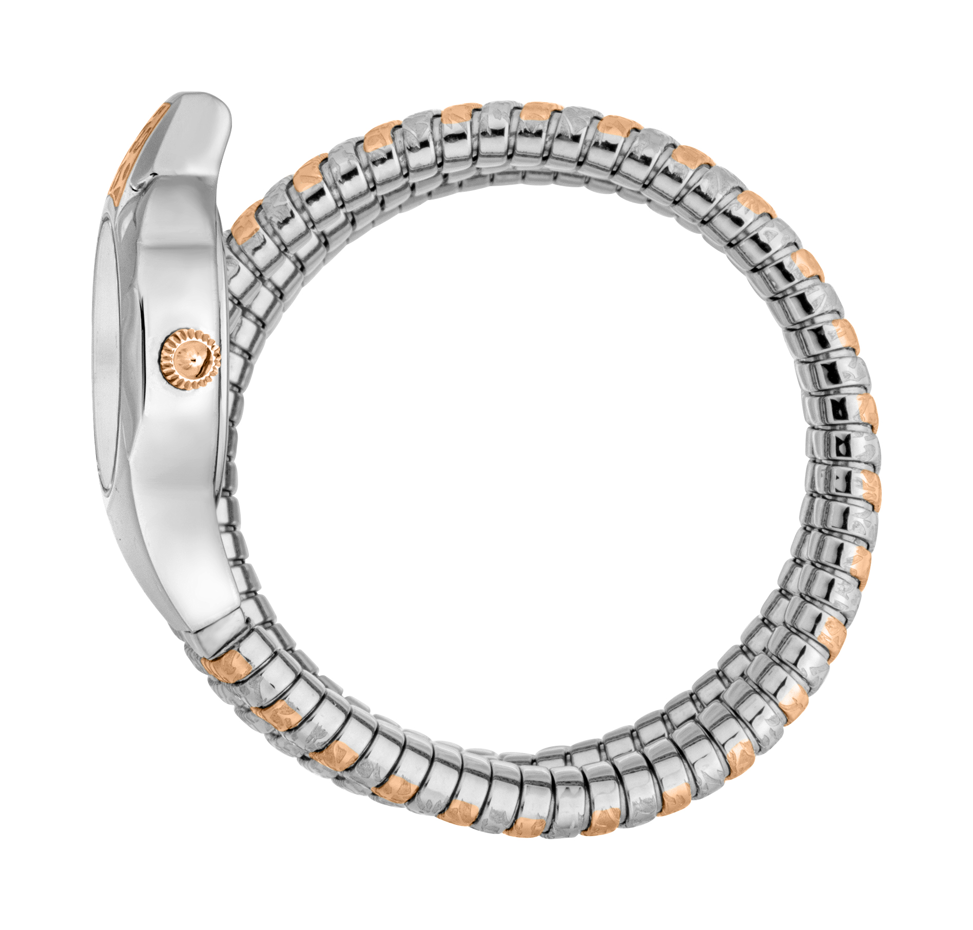 JUST CAVALLI WATCHES + BOX MOD. JC1L271M0065