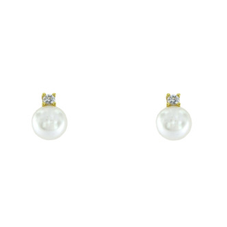 SENSE Mod. SSG-5-196-2-1