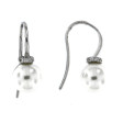 SENSE Mod. 1002028-8