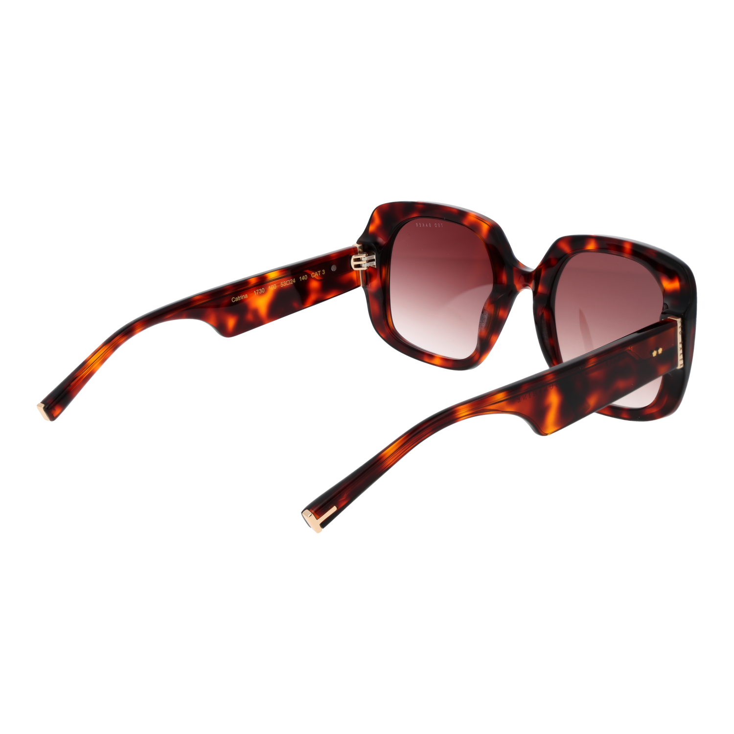 TED BAKER MOD. TB1730 53100